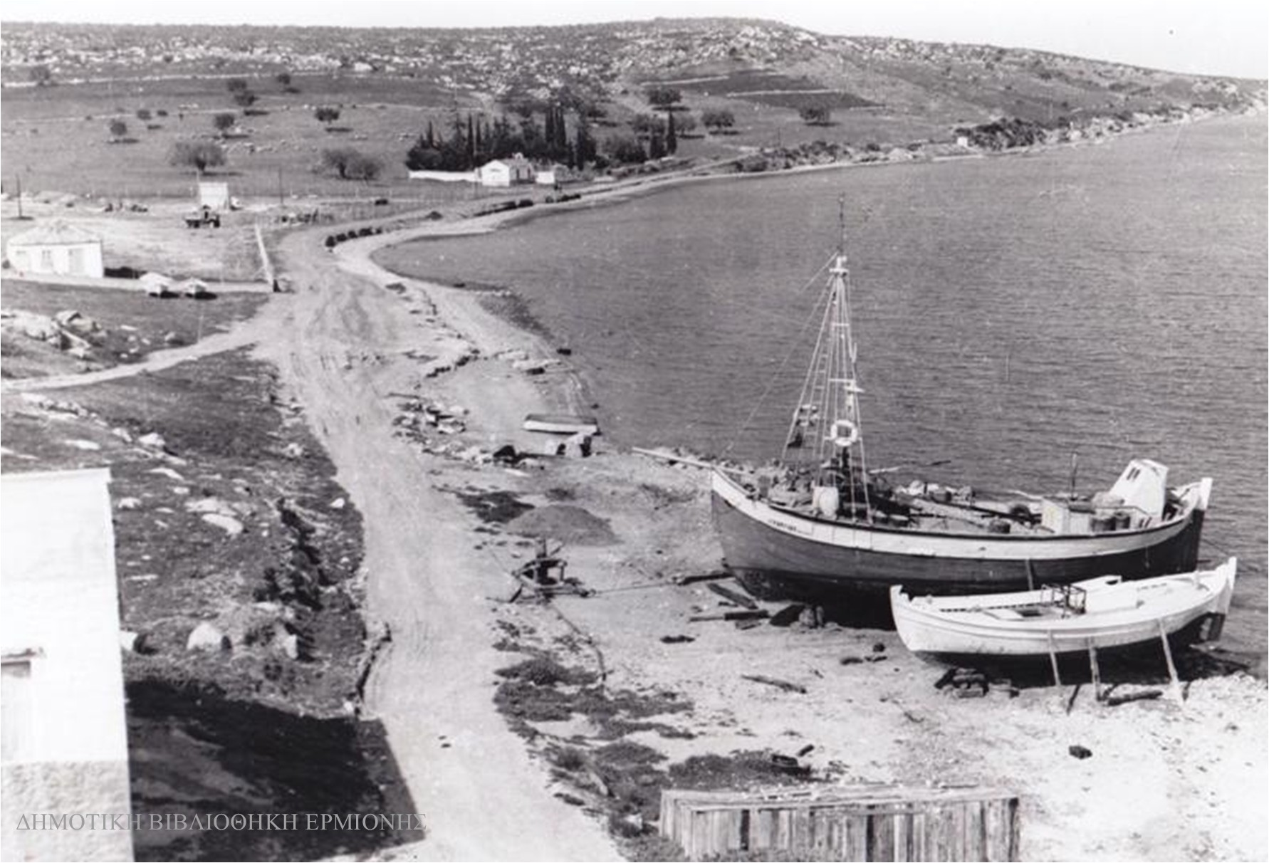 ΑΛΕΞ 13831960