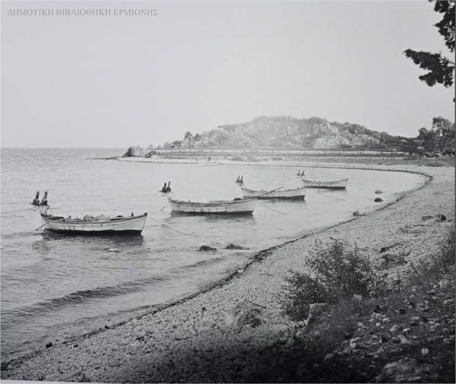 ΑΛΕΞ 13871960