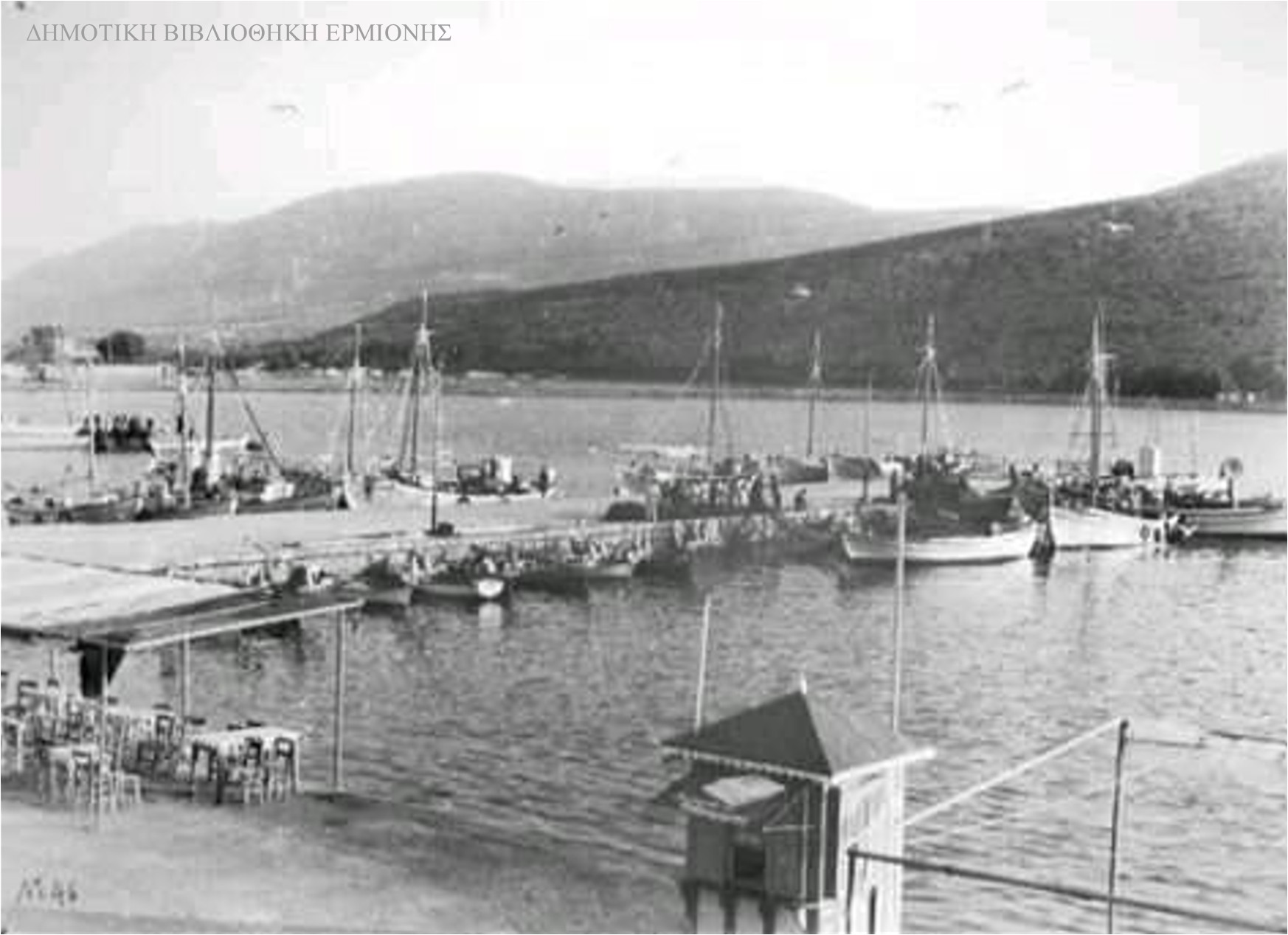 ΑΛΕΞ 13911961