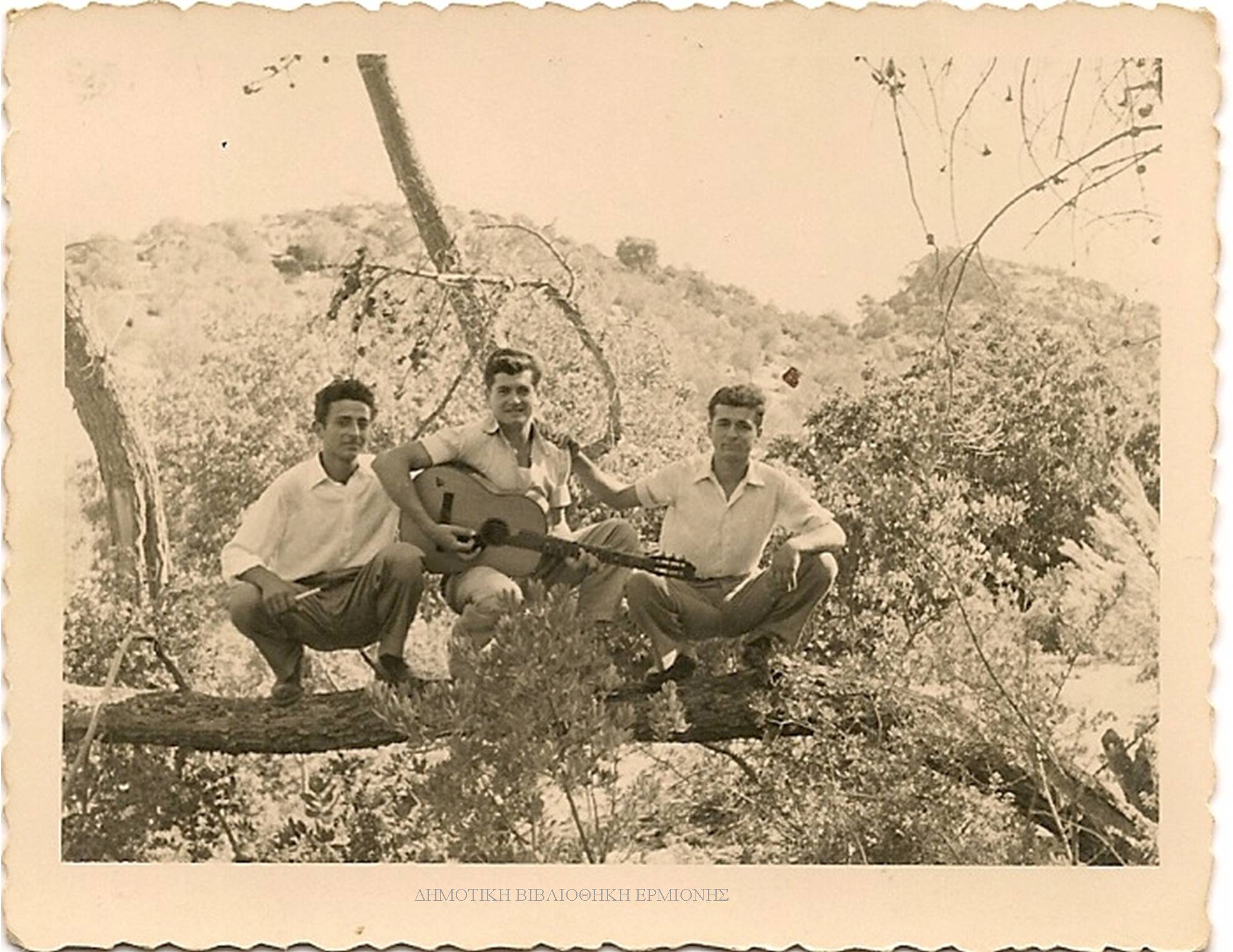 ΔΜ 09951956