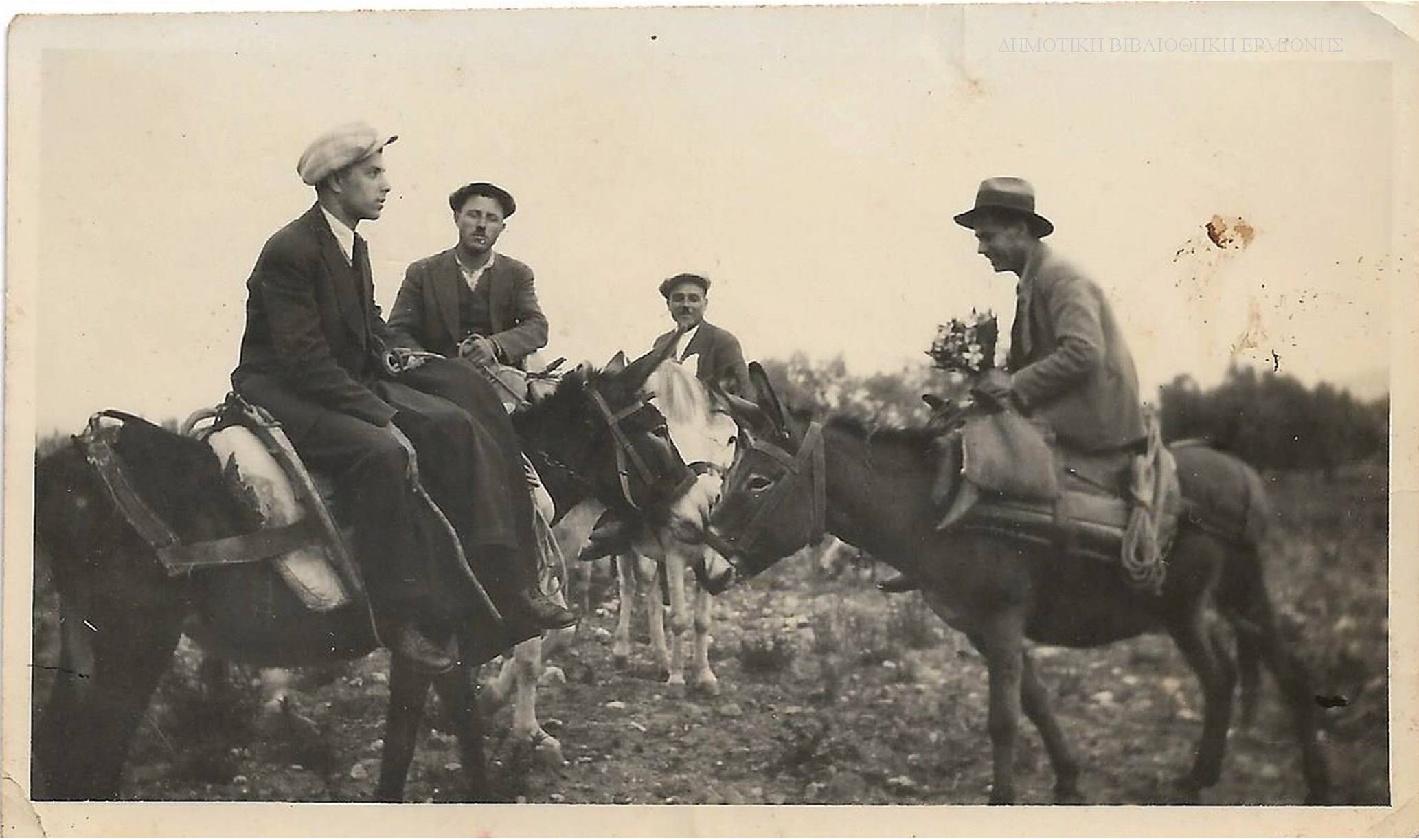 ΙΓΜ 11901936