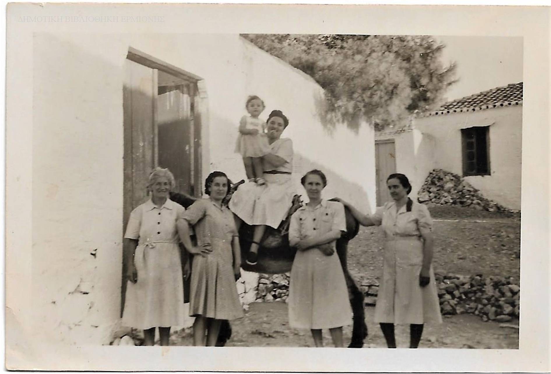 ΙΓΜ 11961948