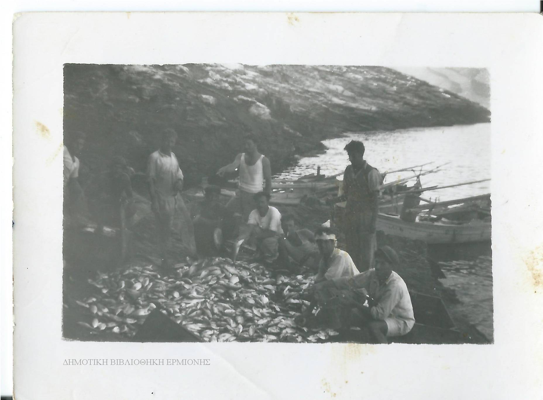 ΑΚ 04081950