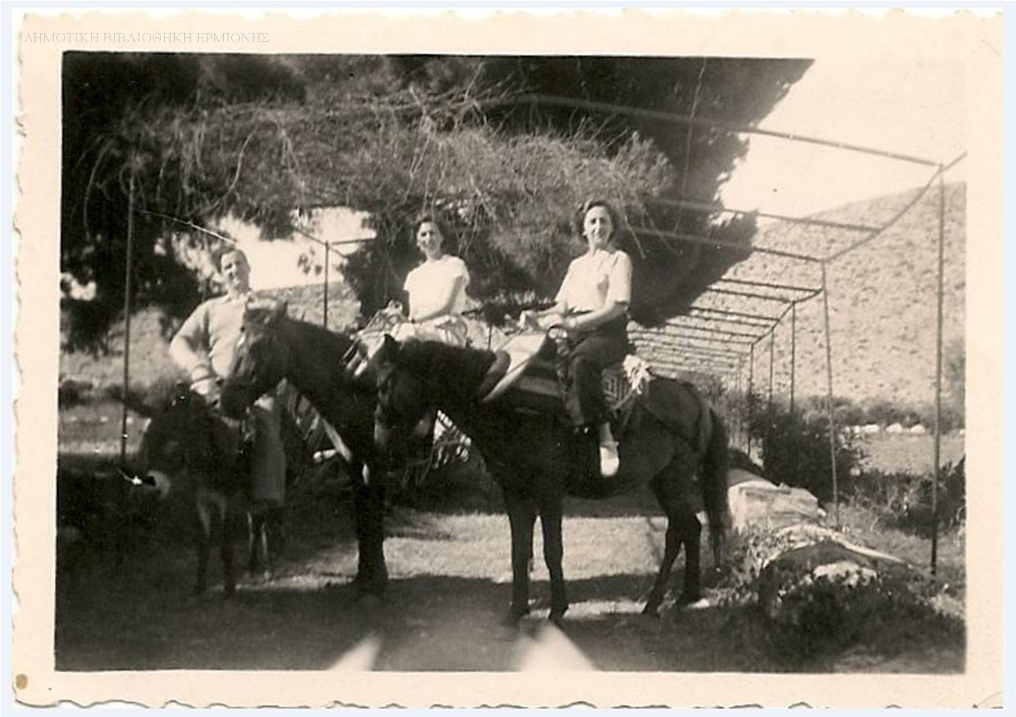 Λ 11011947