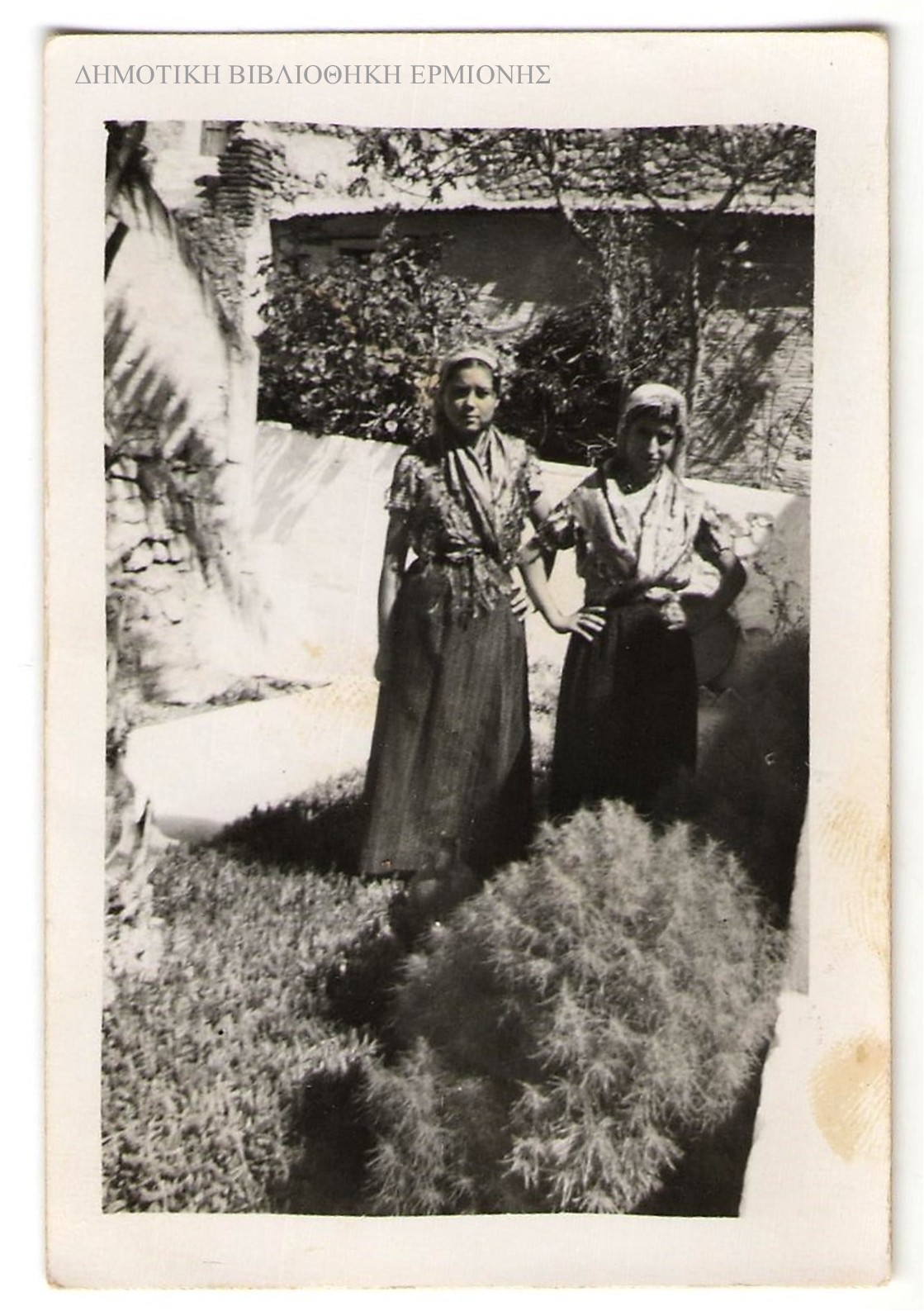 ΜΜ 14531943