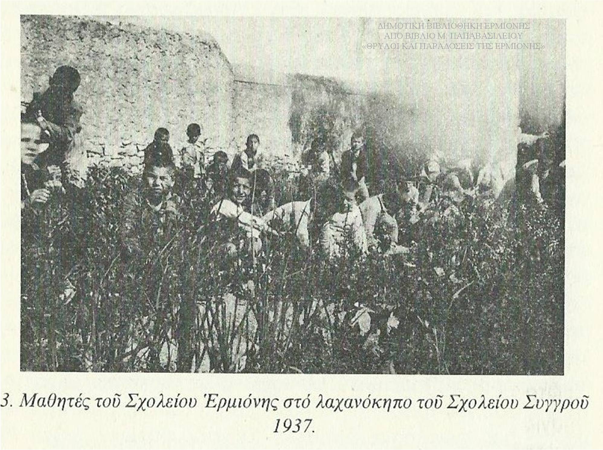 ΜΠ 09261937