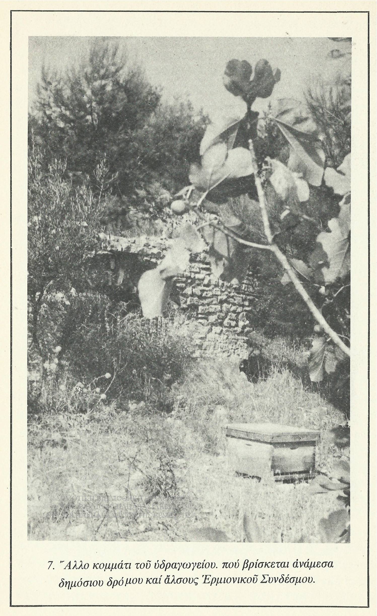 ΜΠ 09541963