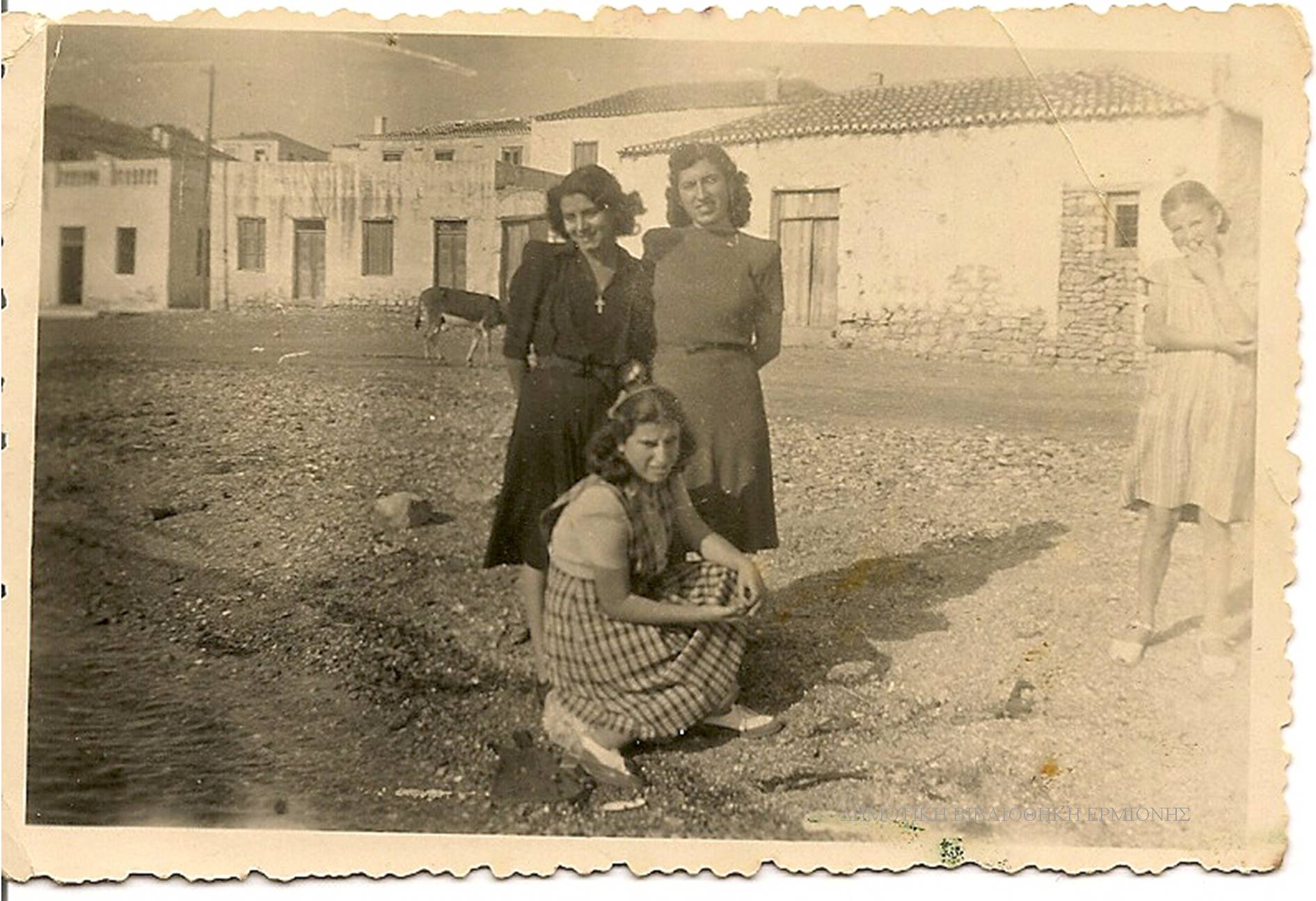 ΣΝΛ 05151946