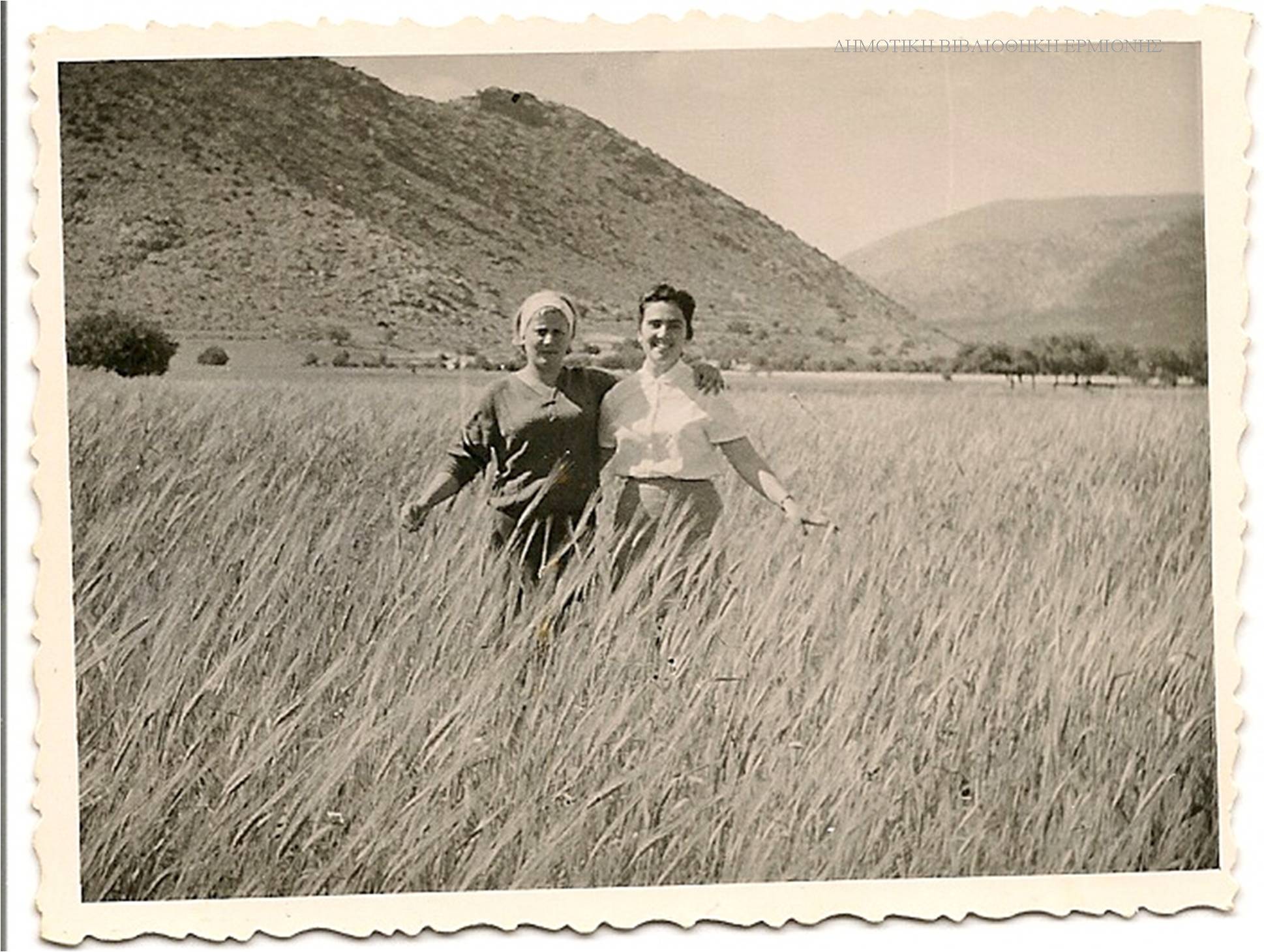 ΣΝΛ 05331954