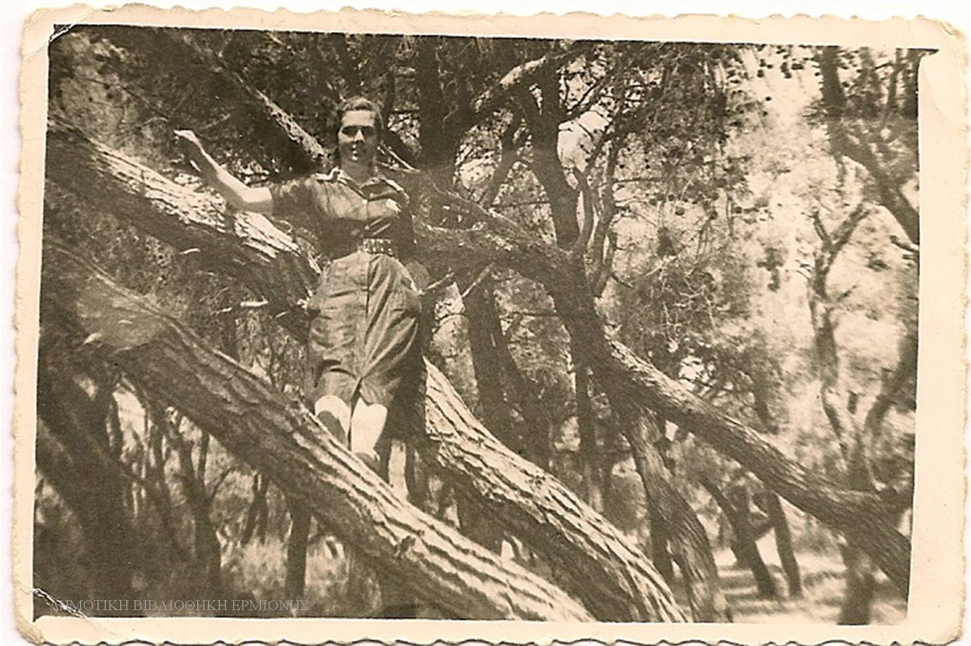 ΣΝΛ 05471955