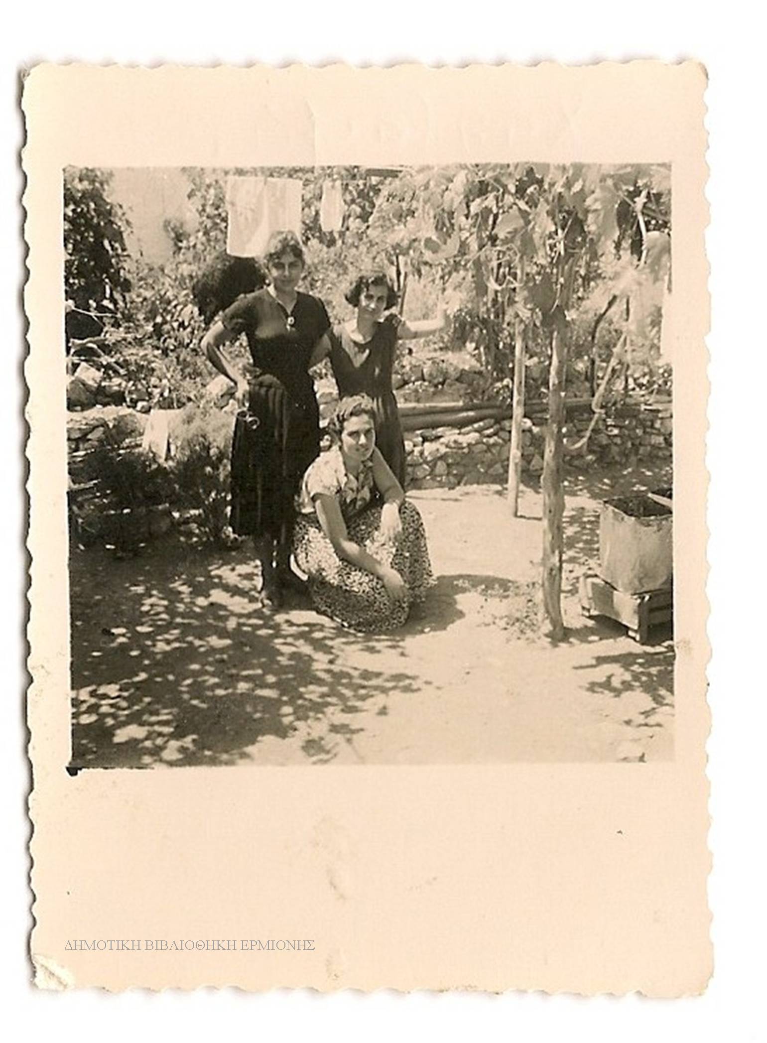 ΣΝΛ 05491958
