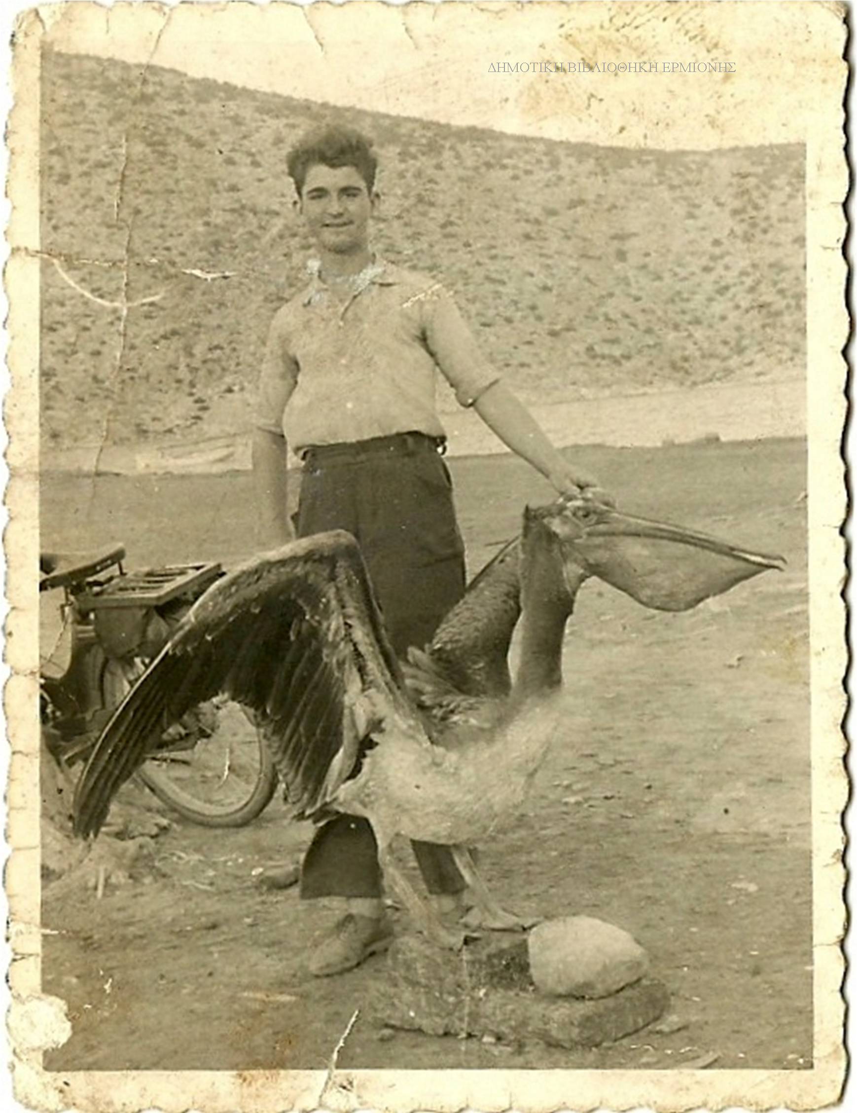 TK 08521956